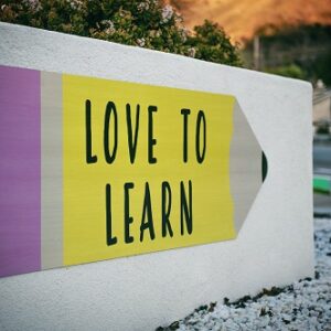 Italian English Lessons. Special offer. Lesson 1,2,3,4 + Family and Animal + Verbs and verb conjugations + The definite article. PDF and AUDIO